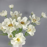 Big Heads Cosmos Flower Cream 78cmH